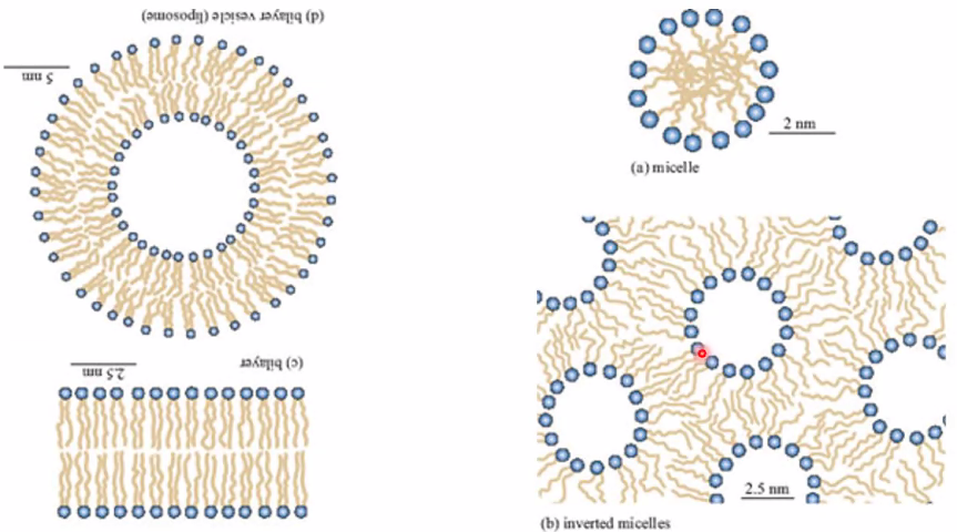 Nanoparticle synthesis - My Zettelkasten